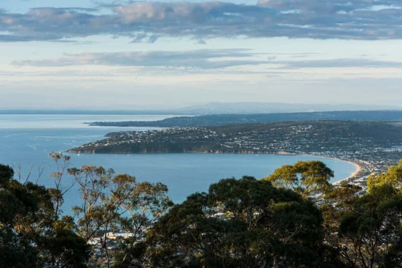 Mornington Peninsula Tour: wildlife, wine, art & hot springs - Analyzing the Experience Value