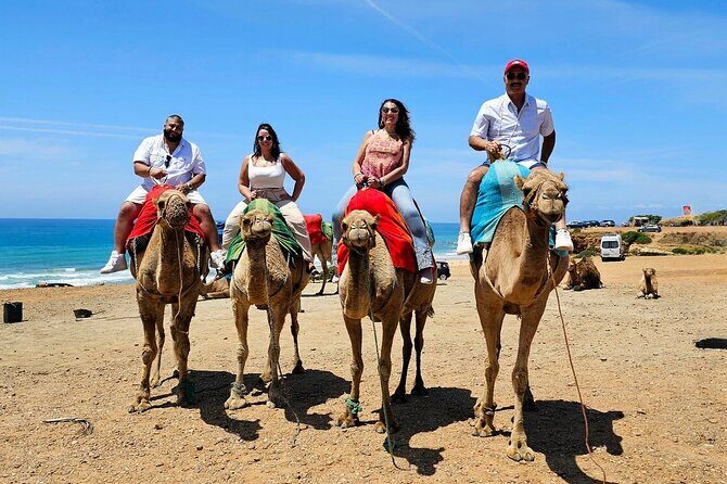 Morocco: Tangier Private Tour from Malaga & Tarifa. All Inclusive - Starting the Journey: Logistics and Planning