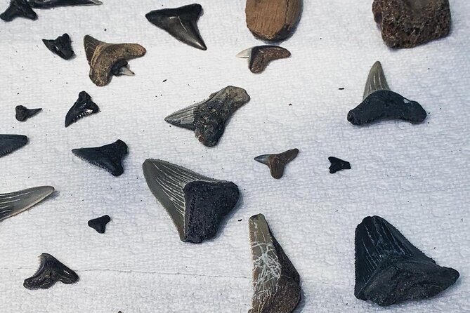 Morris Island Private Excursion - Final Thoughts