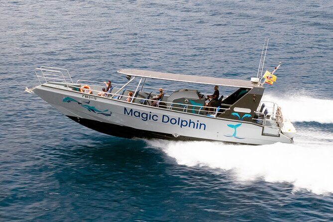 Morro Jable: 2 Hours Magic Dolphin & Whale watching with Drinks & Swim Stop. - What to Expect on the Tour