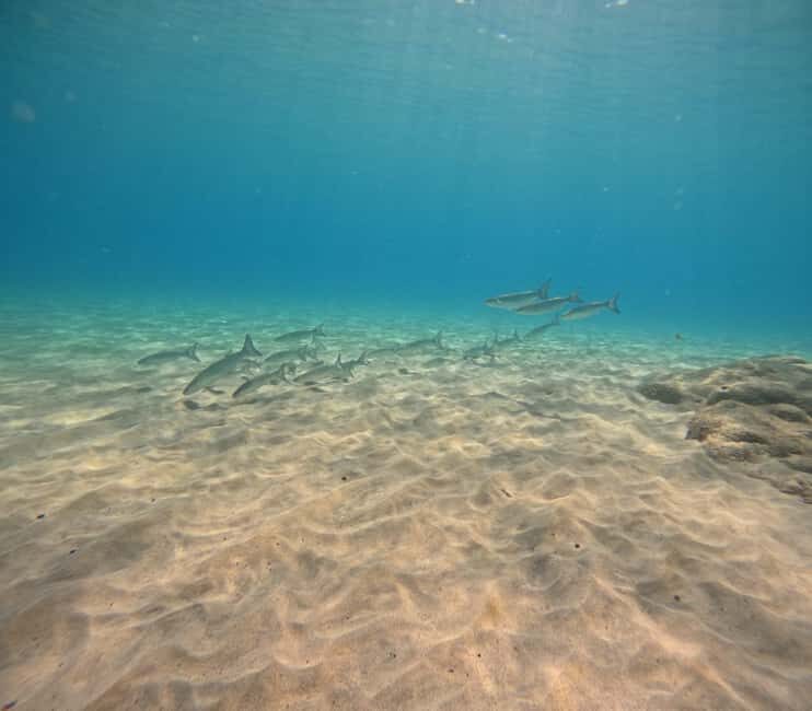 Morro Jable: Try Out Diving, No Prior Experience Needed! - An Honest Look at What You Can Expect