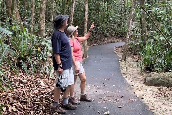 Mossman Gorge Daintree Experience Small Groups - Key Points