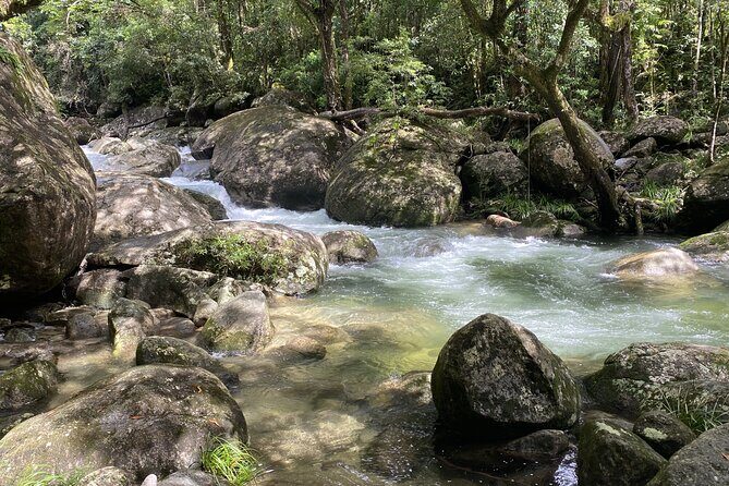 Mossman Gorge Daintree Experience Small Groups - Who Should Consider This Tour?