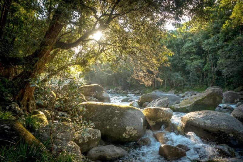 Mossman Gorge: Day Tour with River Drift Experience - Key Points