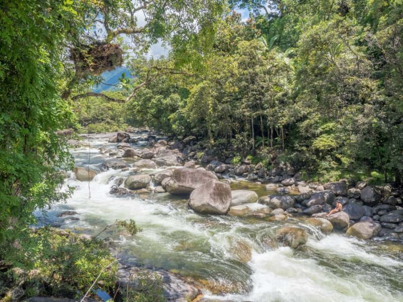 Mossman Gorge: Day Tour with River Drift Experience - Who Will Love This Experience?