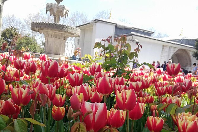 Most famous sites of Istanbul - What Travelers Can Expect