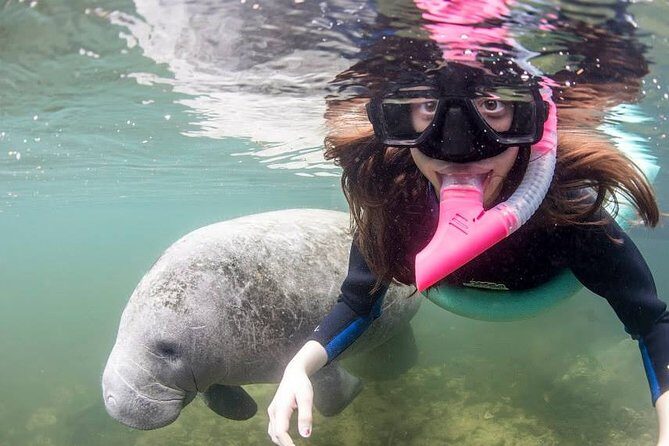Most Popular 3hr Manatee Swim Tour + In-Water Guide! - An In-Depth Look at the Tour