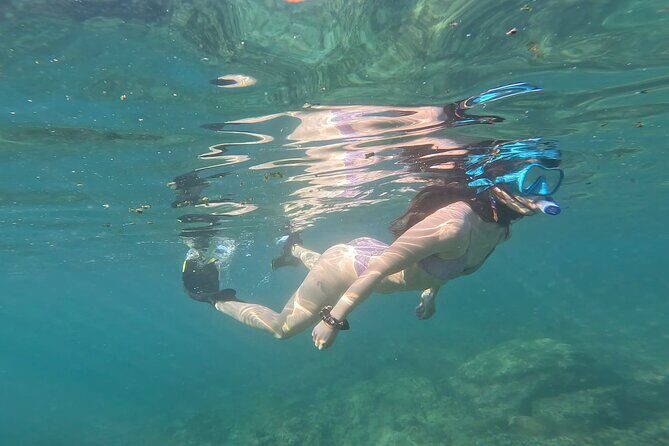 MOST POPULAR TOUR IN LA PAZ! Swim with Sea Lions Private Boat - Final Thoughts