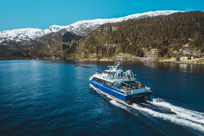 Mostraumen Fjord Cruise - Authentic Traveler Insights