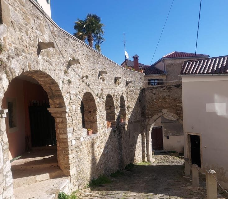 Motovun: The trail of Giants hiking tour & Fritule Tasting - Tasting Fritule and Local Flavors
