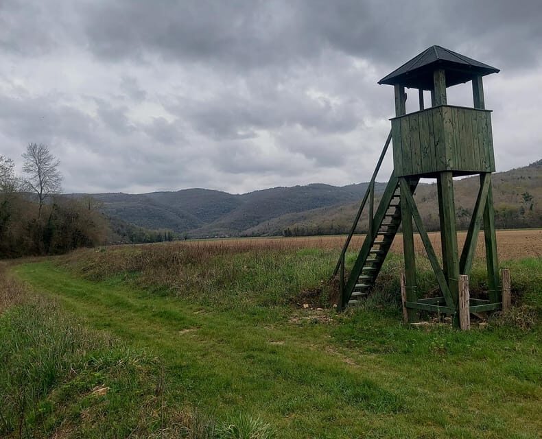 Motovun: The trail of Giants hiking tour & Fritule Tasting - Practical Details and Considerations