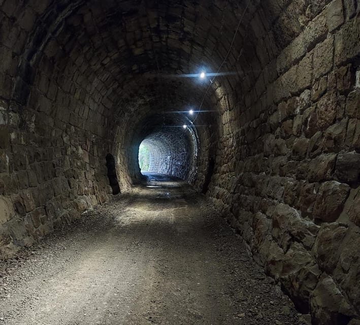 Motovun: The trail of Giants hiking tour & Fritule Tasting - Is It Worth the Price?