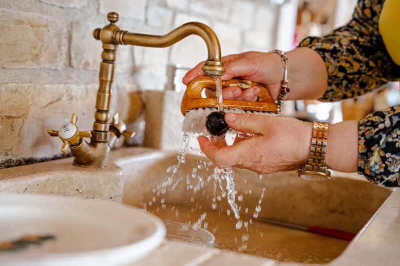 Motovun: Truffle Hunt & 3-Course Brunch with Locals - Whats Included & Whats Not