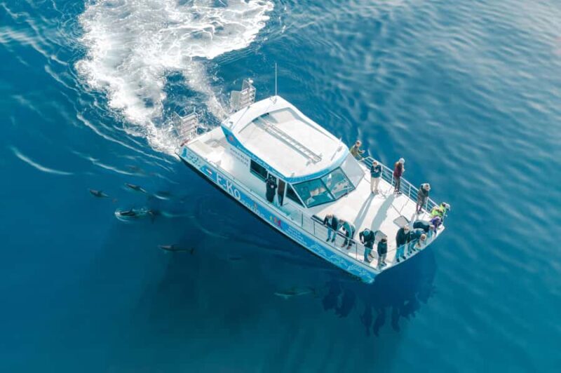 Motuara Island Sanctuary: Wildlife & Dolphin Watching Tour - FAQ