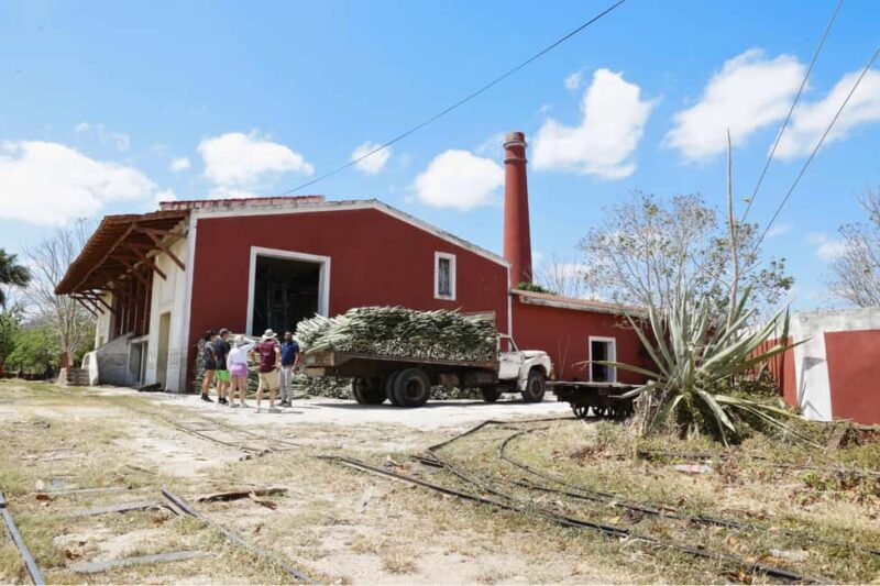 Motul, Hacienda, Xcambo, Pink Salt Mine & Progreso Day Trip - Pricing and Value