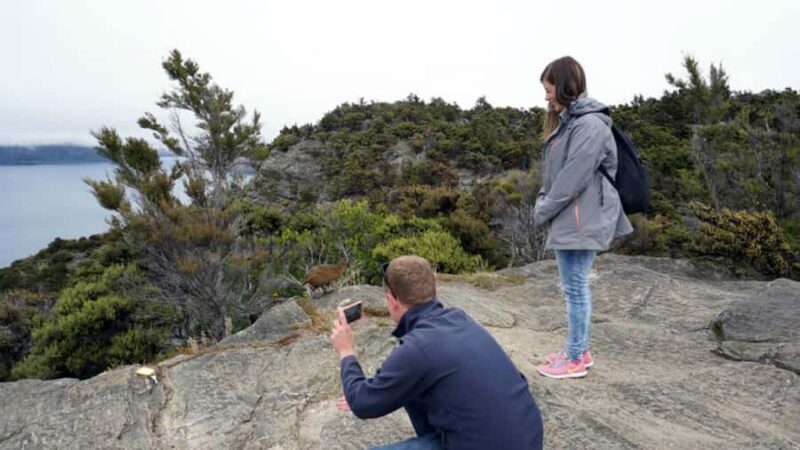 Mou Waho Island: 3-Hour Cruise and Guided Nature Walk - Final Thoughts