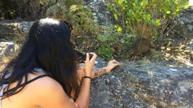 Mou Waho Island: 3-Hour Cruise and Guided Nature Walk - FAQs