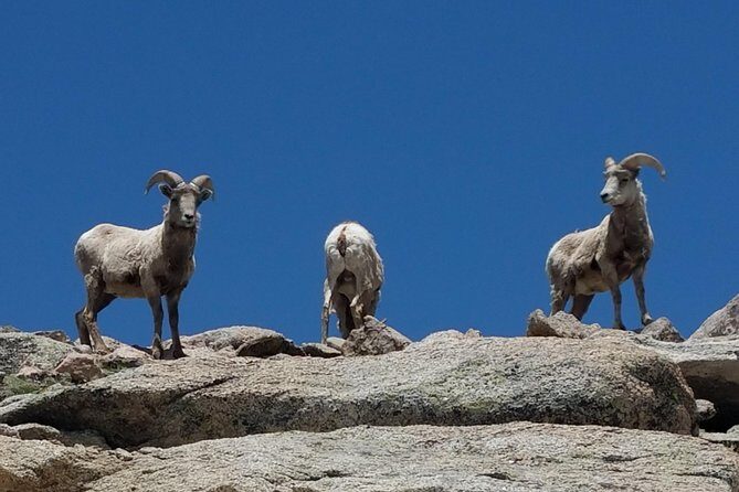 Mount Blue Sky 14,265ft Summit and Glacial Lakes - The Itinerary: What You Can Expect