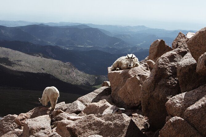 Mount Blue Sky Alpine Summit & Red Rocks Tour from Denver - FAQs