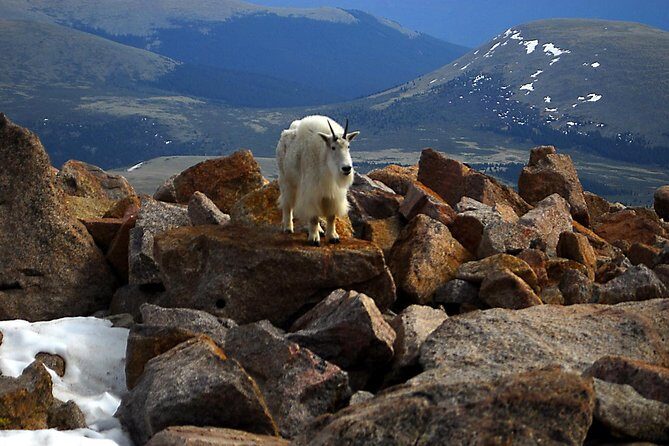 Mount Blue Sky, Clear Creek Canyon & Red Rocks Park (Mount Evans) - The Itinerary Breakdown: What to Expect