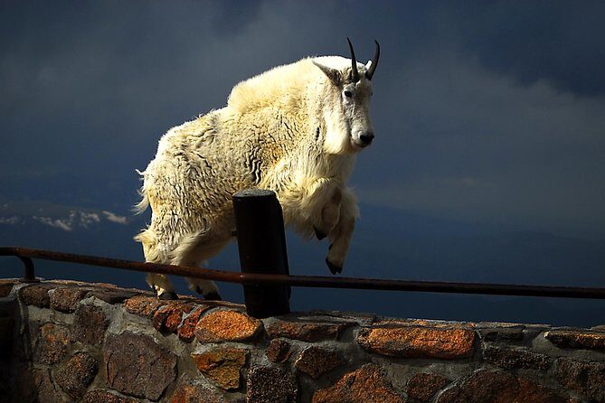 Mount Blue Sky, Clear Creek Canyon & Red Rocks Park (Mount Evans) - Final Thoughts: Who Should Consider This Tour?