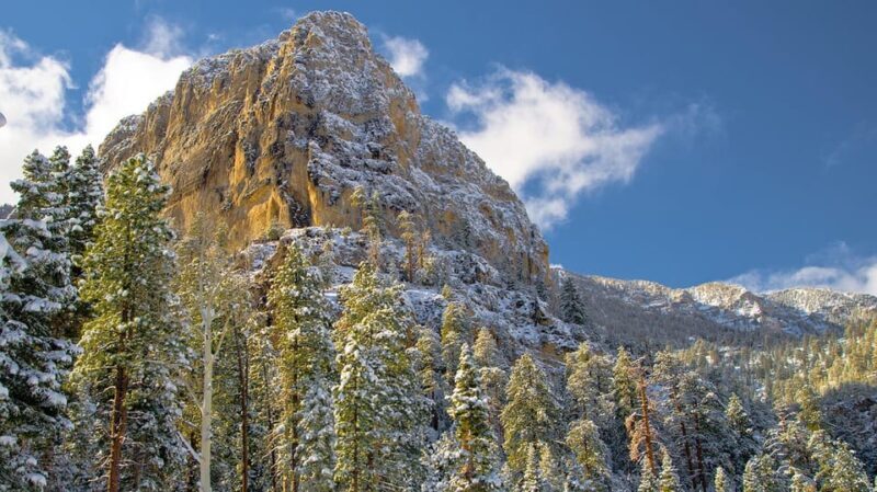 Mount Charleston Driving Adventure: Escape to Nature - Key Points