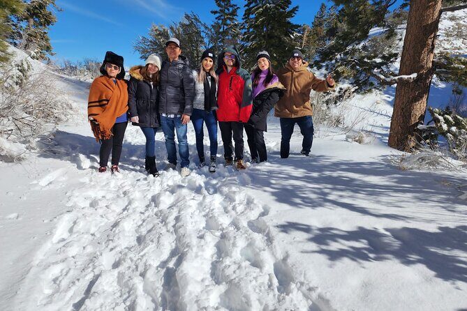 Mount Charleston Tour - The Value and Why It’s Worth Considering