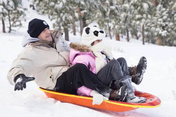 Mount Charleston Tour - What to Expect from the Mount Charleston Tour