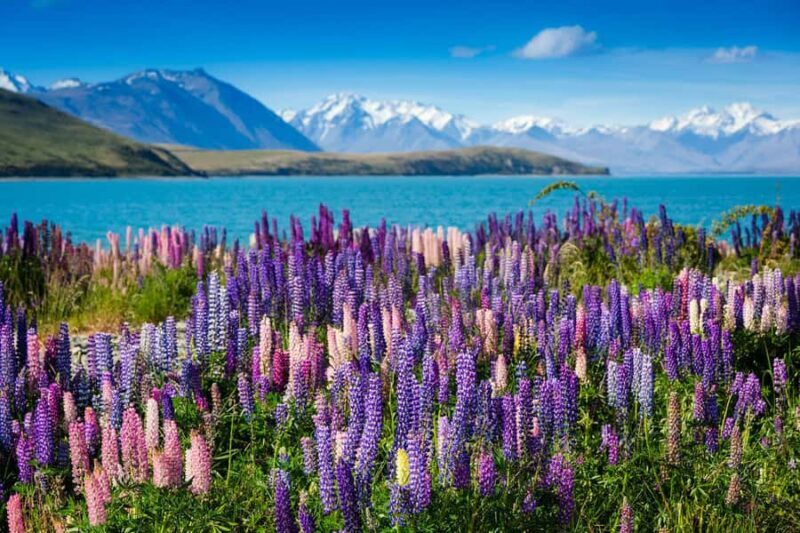 Mount Cook to Queenstown Day Tour - Final Thoughts