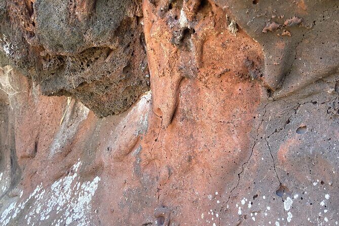 Mount Eccles Volcano  Budj Bim National Park - What You’ll Love Based on Reviews