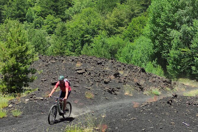 Mount Etna E-bike half-day tour - The Itinerary in Detail