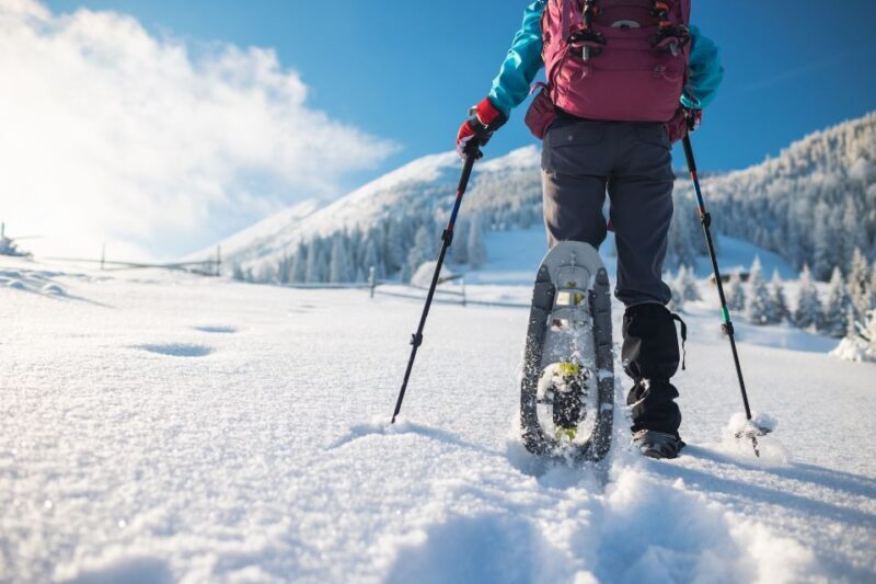 Mount Etna: Guided Snowshoeing Trekking Tour - Key Points