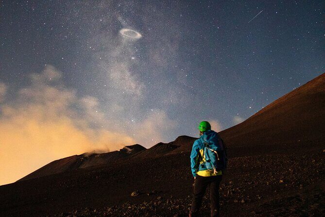 Mount Etna: Morning Excursion with an expert Local Guide - Who Will Love This Tour?