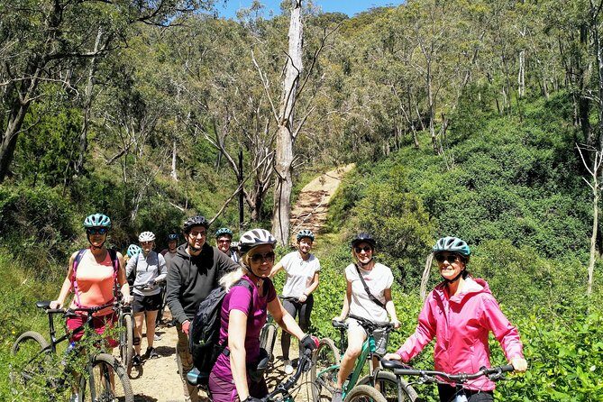 Mount Lofty Descent Bike Tour from Adelaide - What to Expect on the Mount Lofty Descent Bike Tour