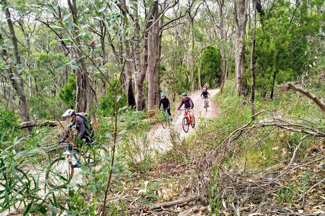 Mount Lofty Descent Bike Tour from Adelaide - Why the Price is Worth It