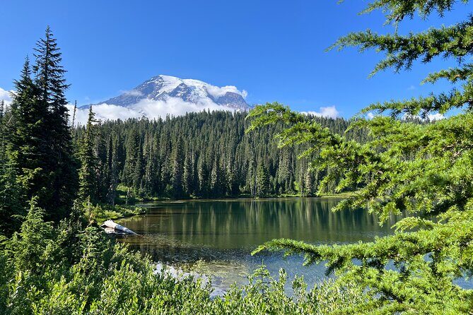 Mount Rainier Customized Tour from Seattle - The Itinerary in Detail: What to Expect