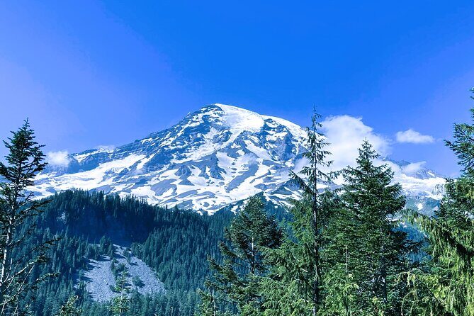 Mount Rainier Customized Tour from Seattle - Final Thoughts