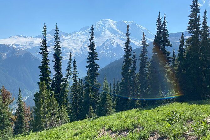 Mount Rainier Day Hike - An In-Depth Look at the Mount Rainier Day Hike