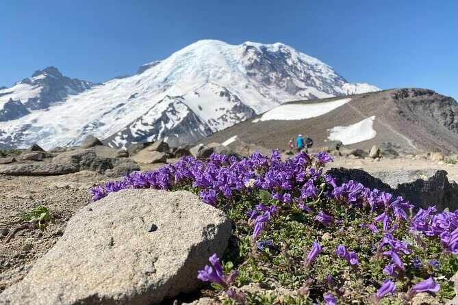 Mount Rainier Day Hike - FAQs about the Mount Rainier Day Hike