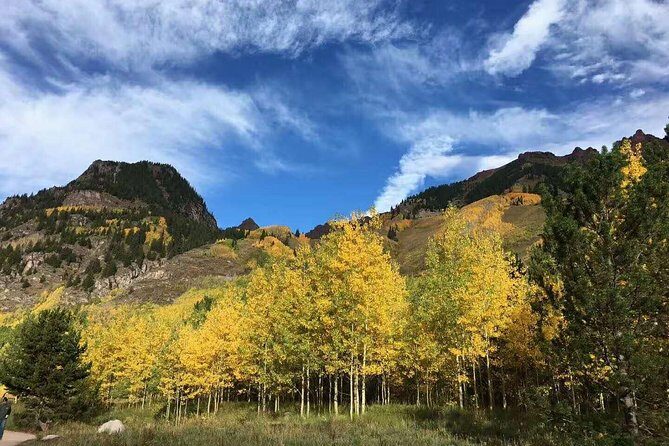 Mount Rainier National Park Day Tour from Seattle - Getting to Know the Tour