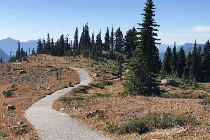 Mount Rainier National Park Day Tour from Seattle - FAQs