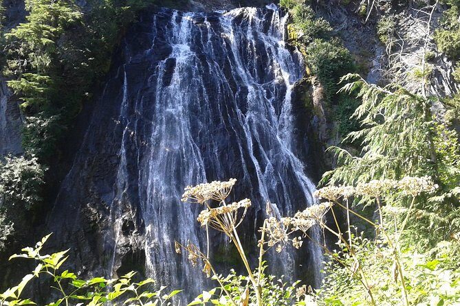 Mount Rainier Tour from Seattle - FAQs