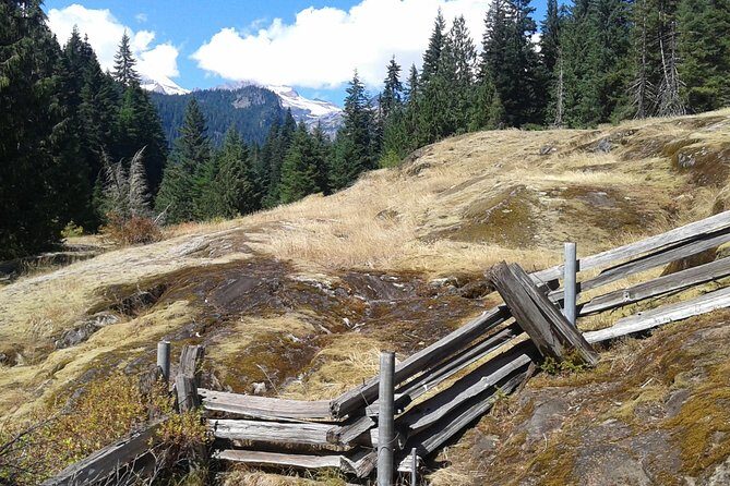 Mount Rainier Tour from Seattle - Final Thoughts