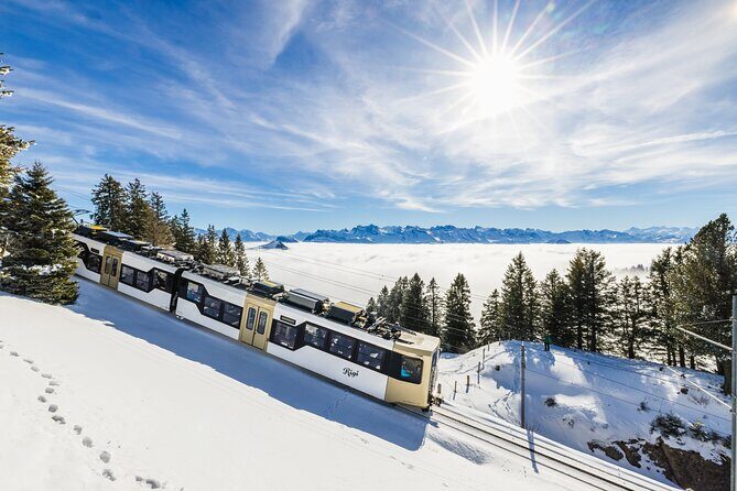 Mount Rigi Day Ticket - A Complete Look at the Mount Rigi Experience