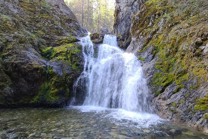 Mount Shasta Sacred Tour - A Closer Look at What to Expect on the Mount Shasta Sacred Tour