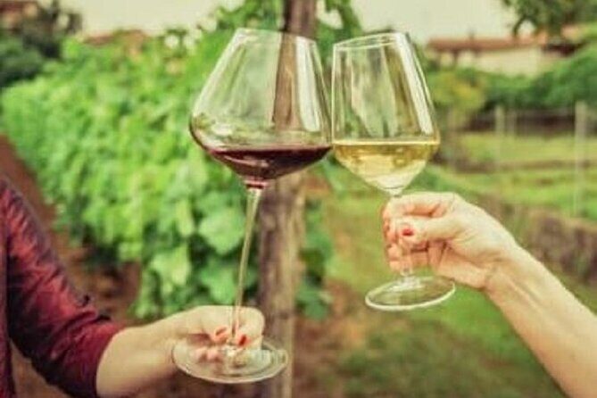 Mount Tamborine Deluxe Wine Tasting with Two Course Lunch - Final Thoughts