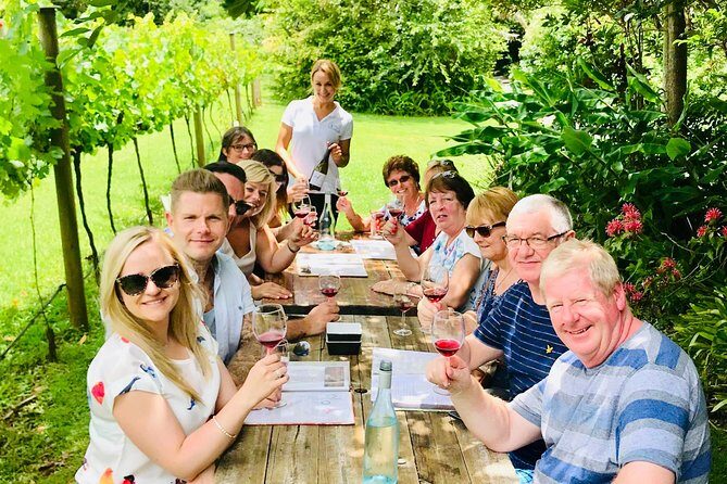 Mount Tamborine Wine Tasting Tour from Brisbane or the Gold Coast - Key Points