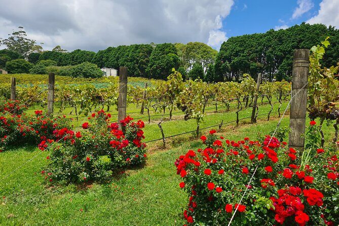 Mount Tamborine Wine Tasting Tour from Brisbane or the Gold Coast - Why This Tour Stands Out