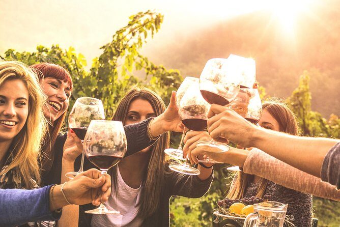 Mount Tamborine Winery Tour with Gourmet lunch - Final Thoughts: Is This Tour Right for You?