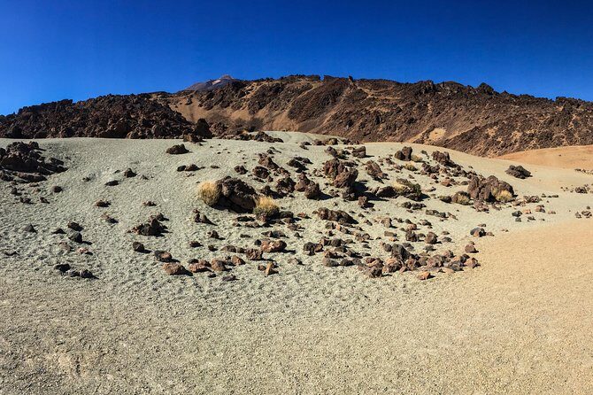 Mount Teide and Tenerife North with Food & Wine Tasting Private Tour - A Closer Look at the Itinerary